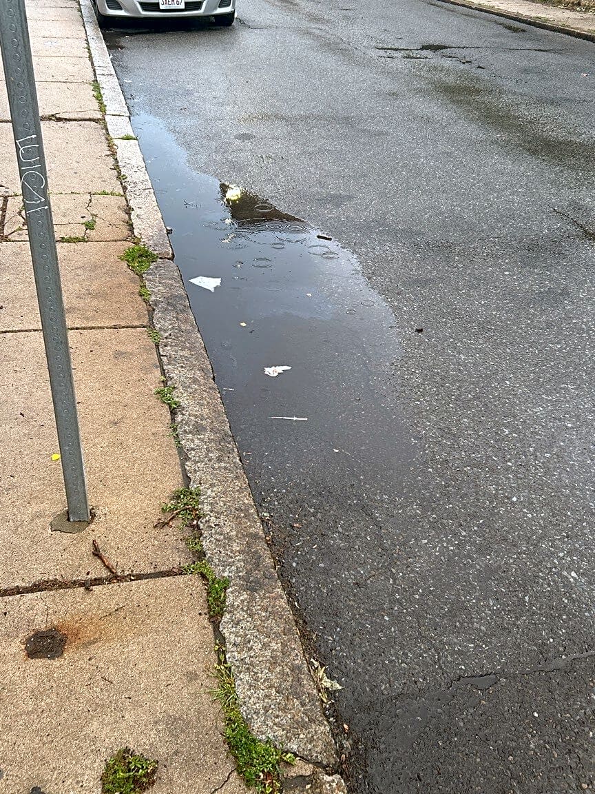 Image submitted with report