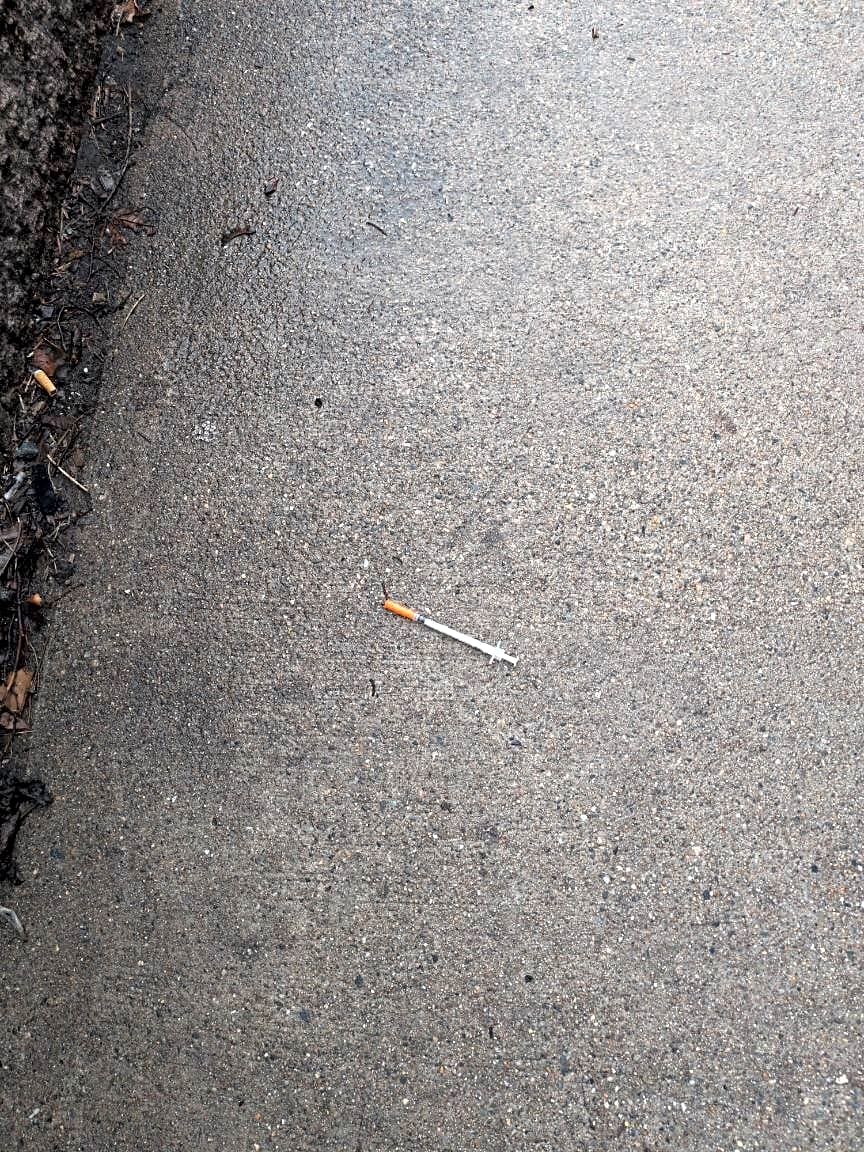 Image submitted with report