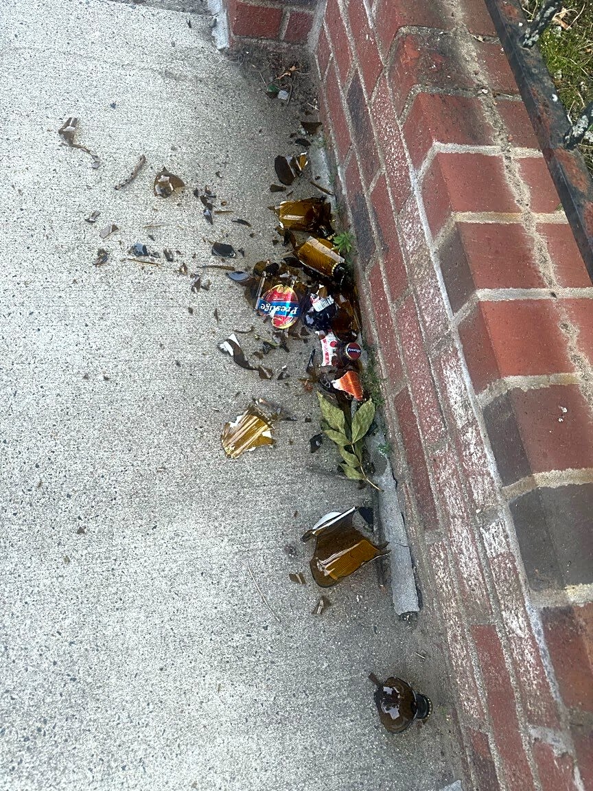 Image submitted with report