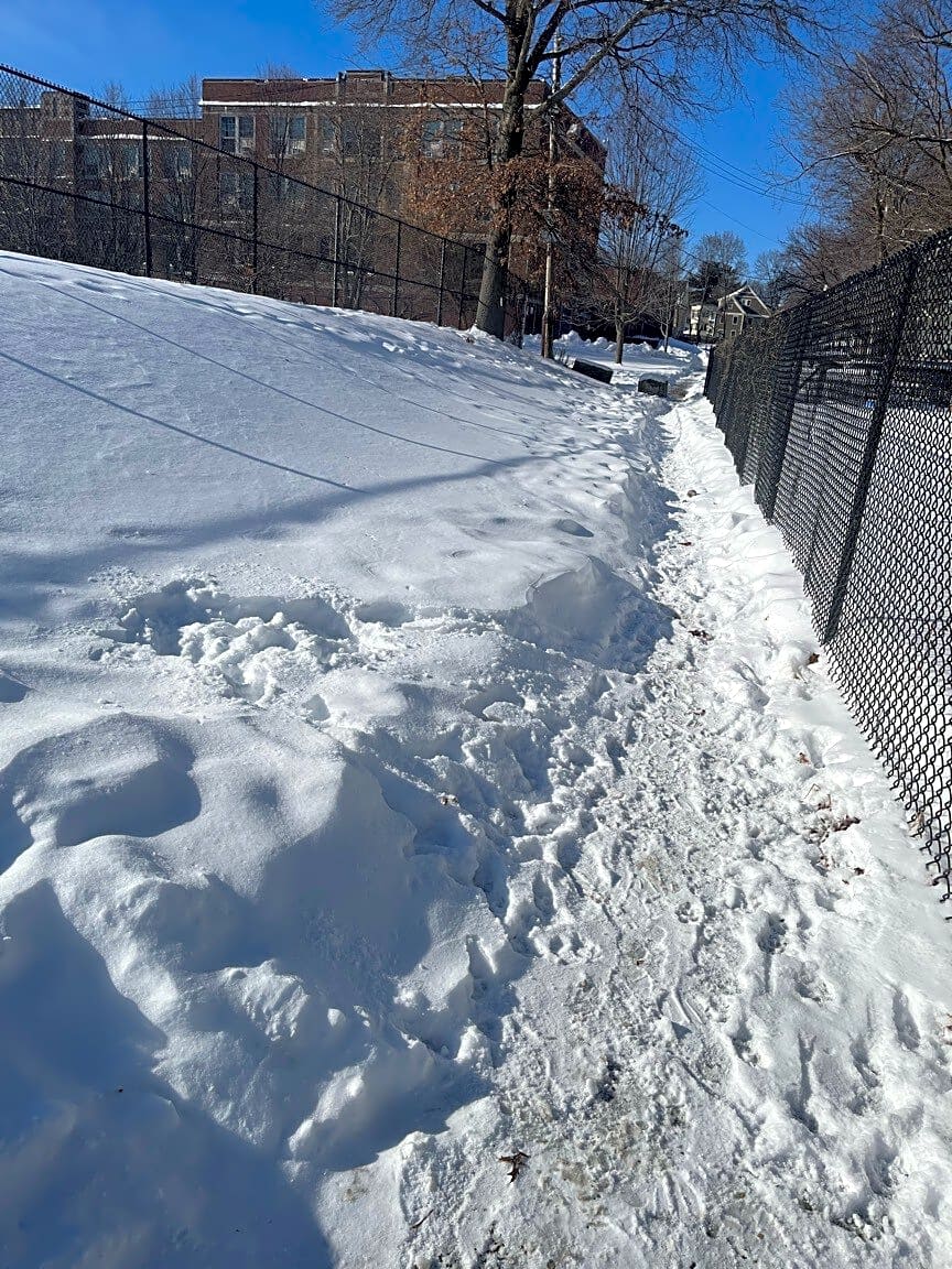 Image submitted with report