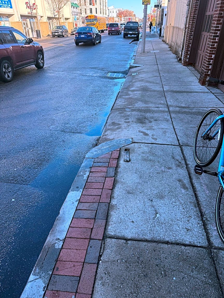 Image submitted with report