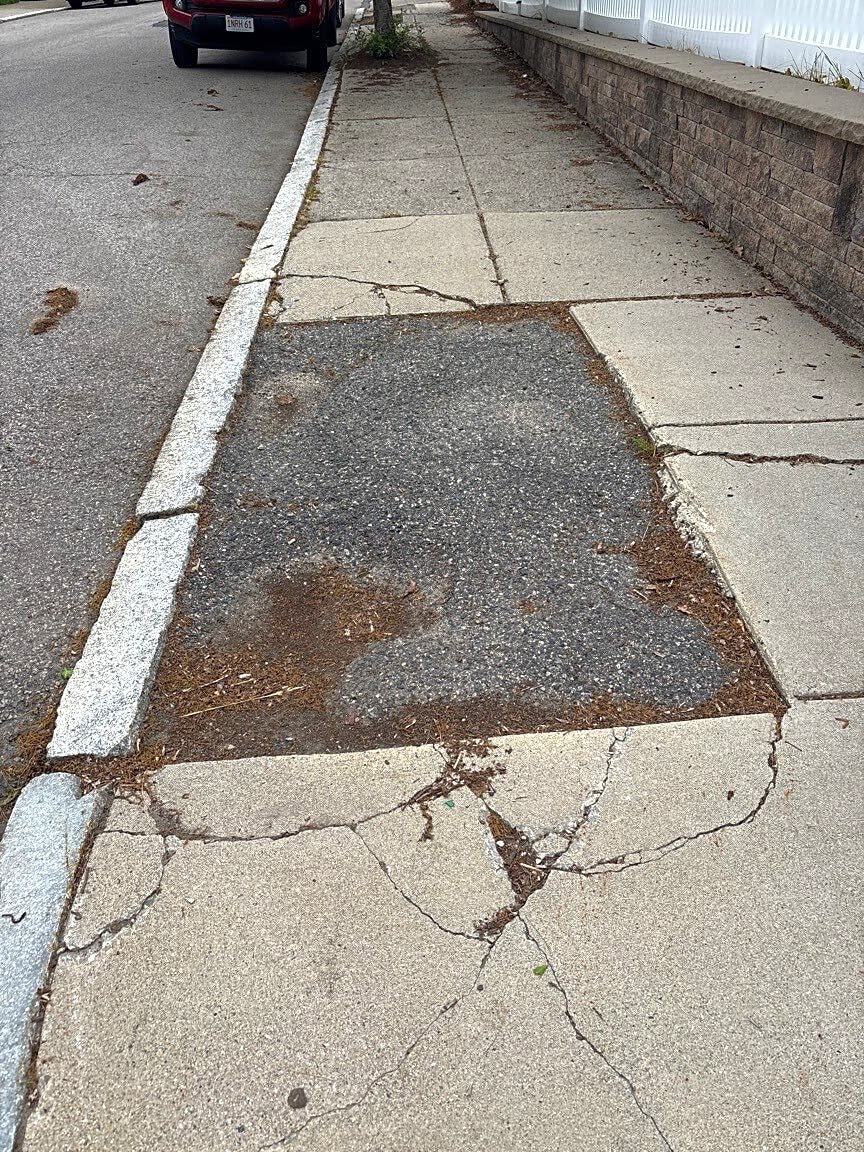 Image submitted with report