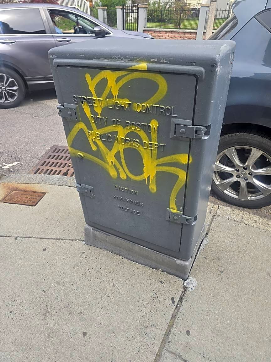 Image submitted with report