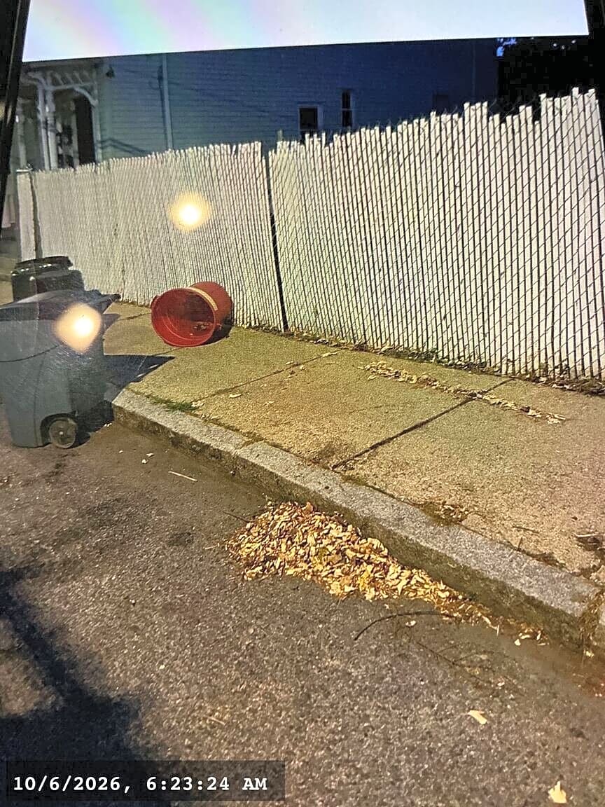 Image submitted with report