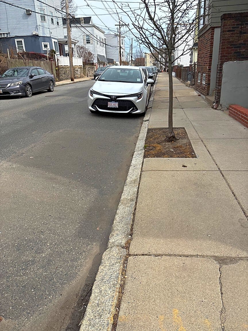 Image submitted with report