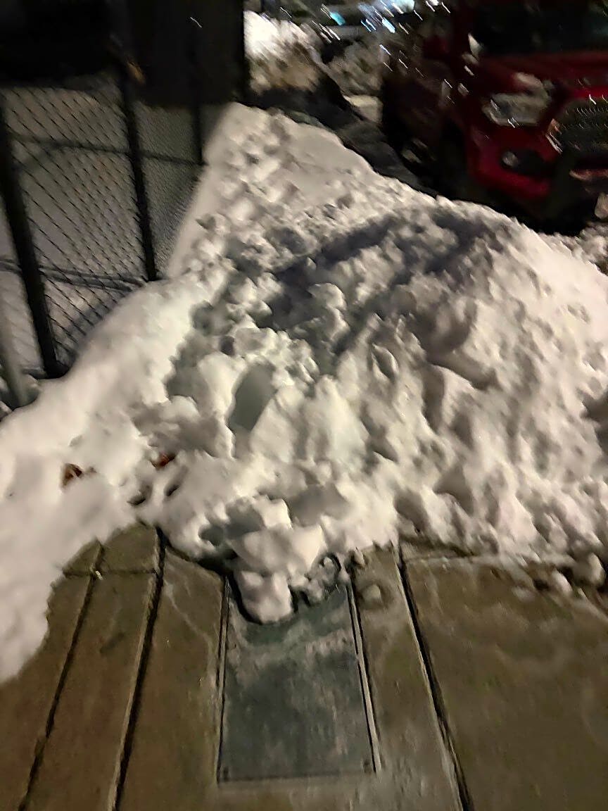 Image submitted with report