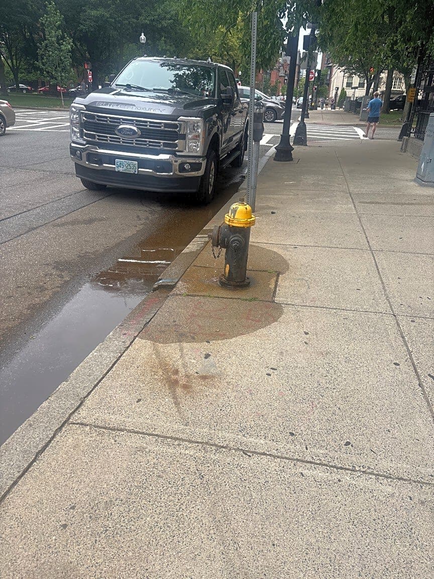 Image submitted with report
