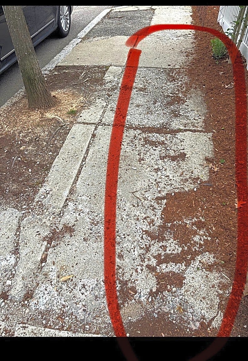 Image submitted with report