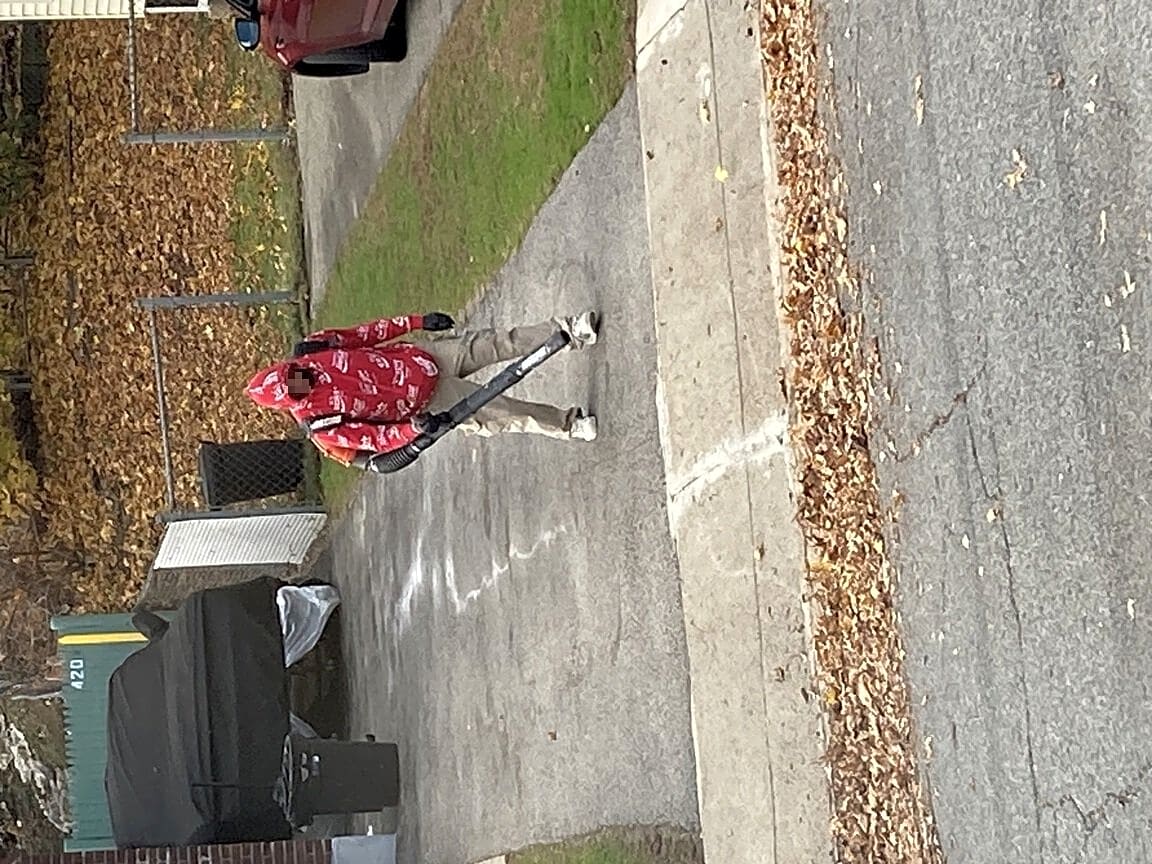 Image submitted with report