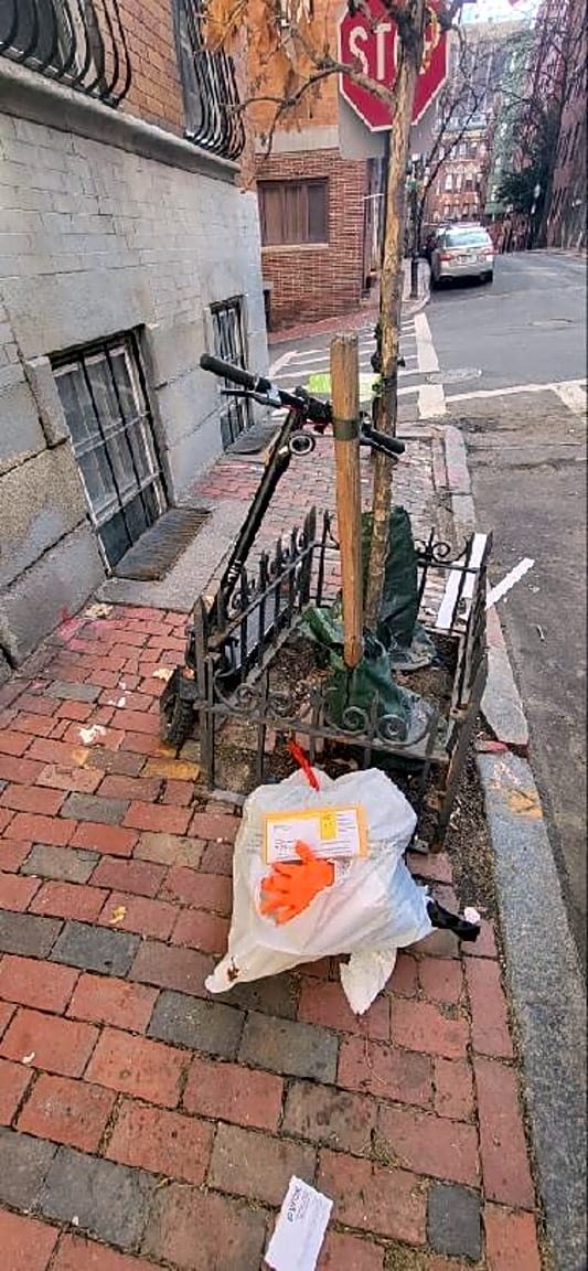 Image submitted with report