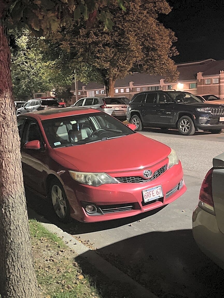 Image submitted with report