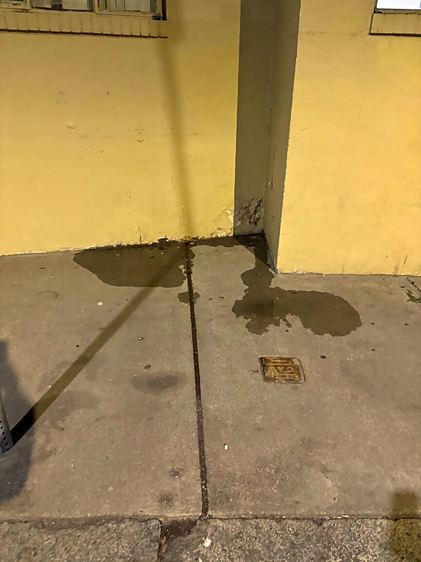 Image submitted with report