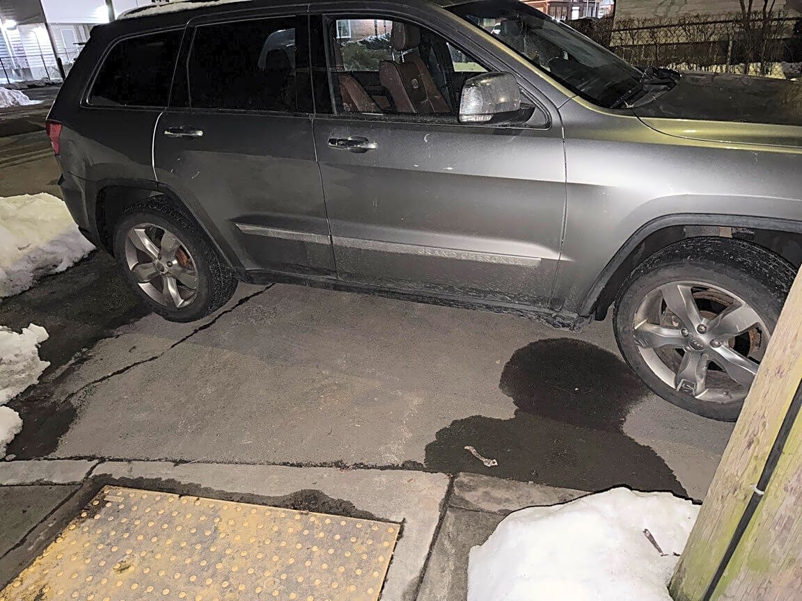 Image submitted with report