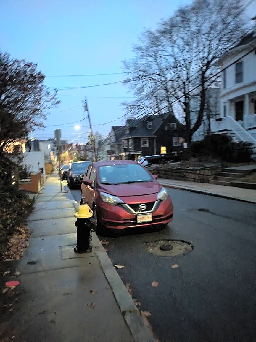 Image submitted with report