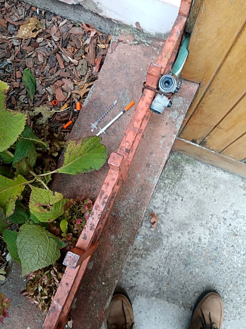 Image submitted with report