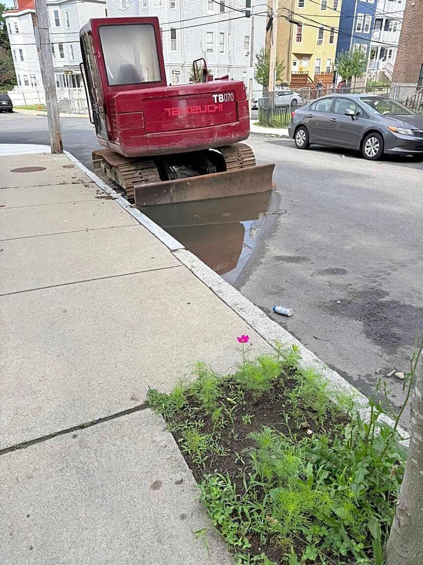 Image submitted with report