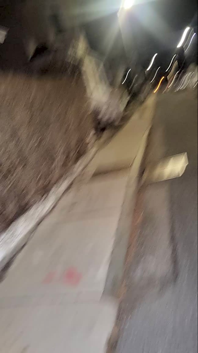 Image submitted with report