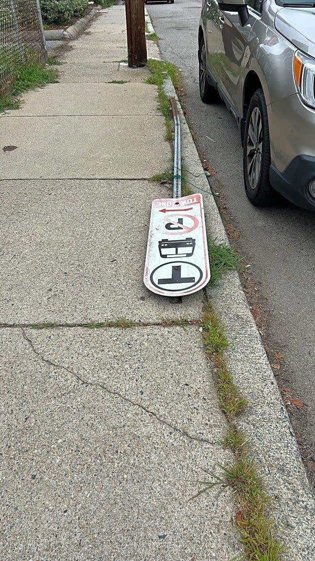 Image submitted with report