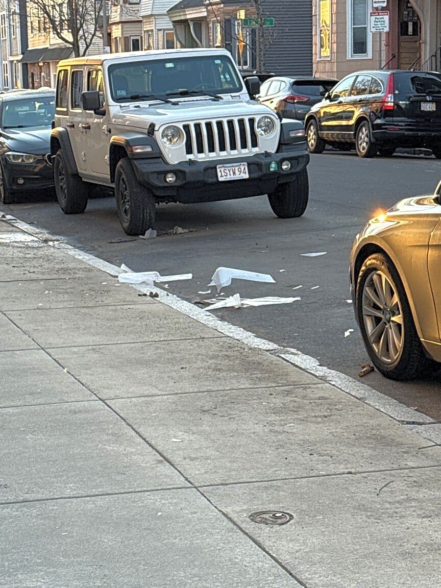 Image submitted with report