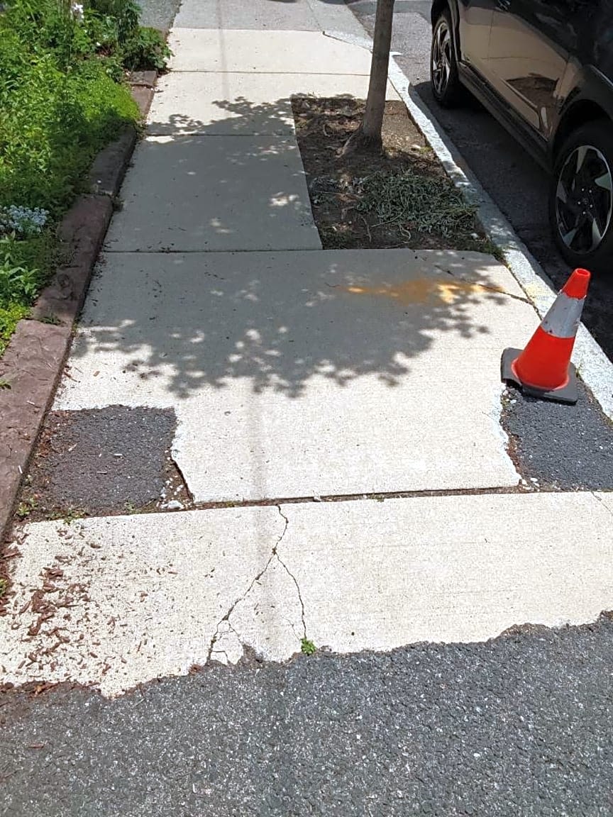 Image submitted with report
