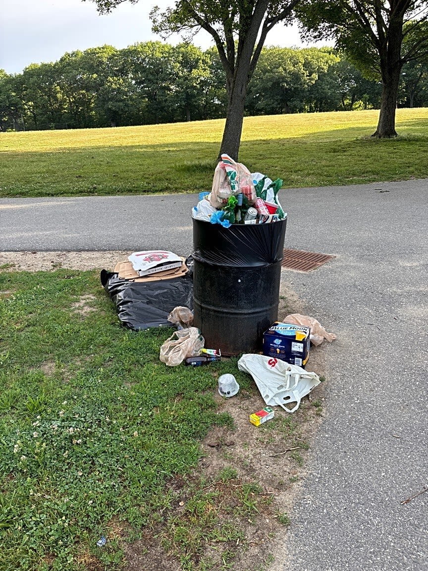 Image submitted with report