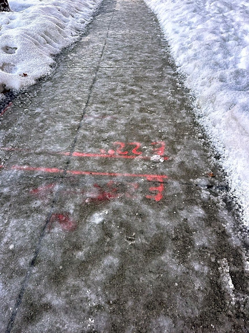 Image submitted with report