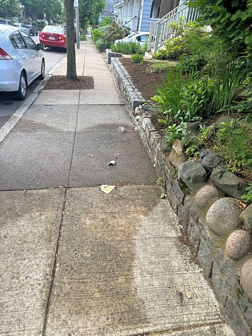 Image submitted with report