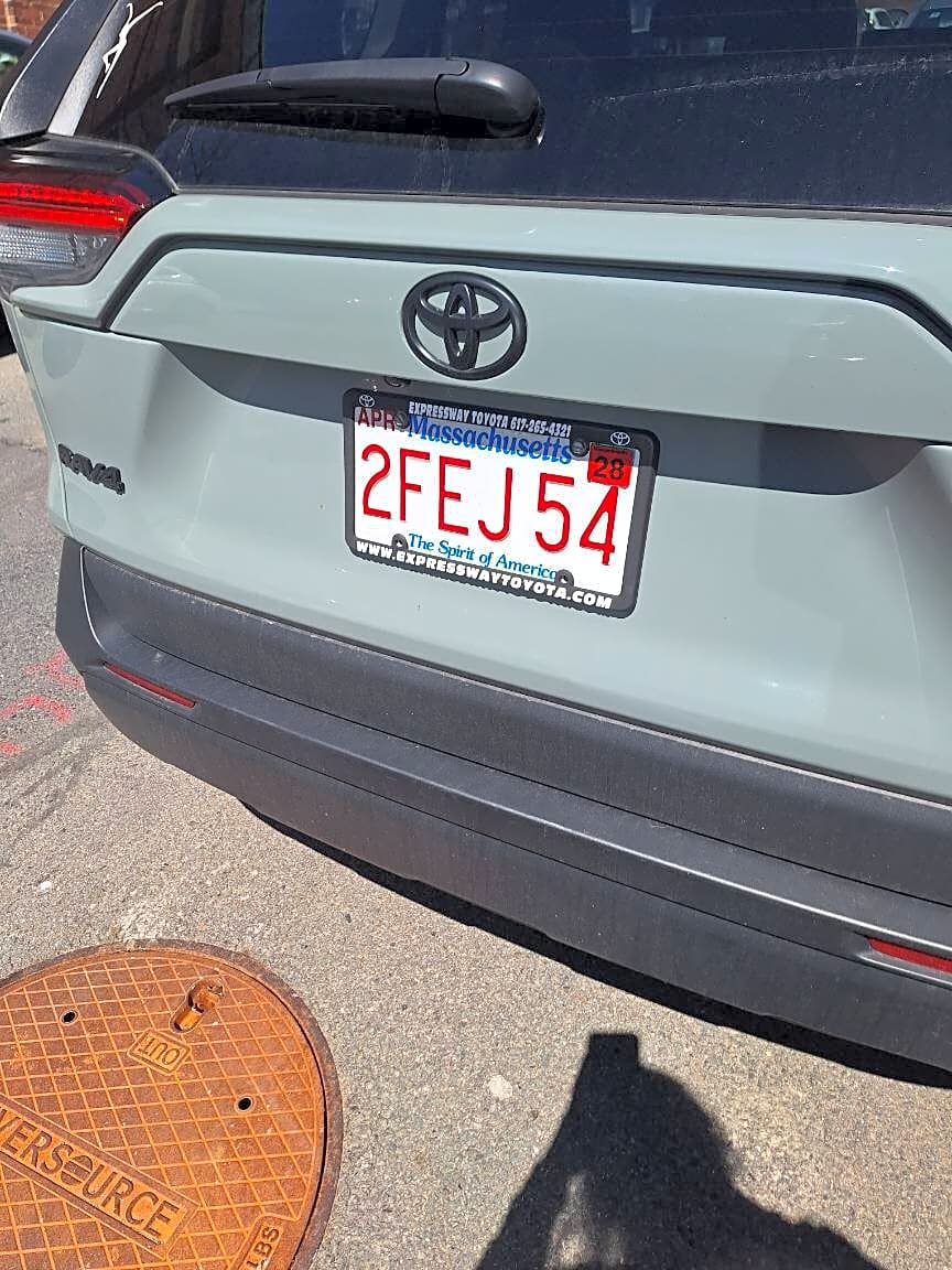 Image submitted with report