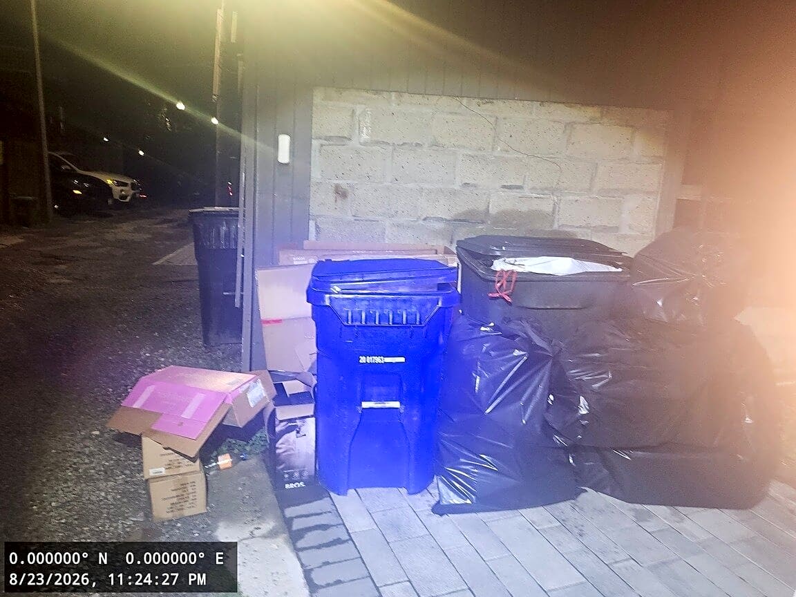 Image submitted with report