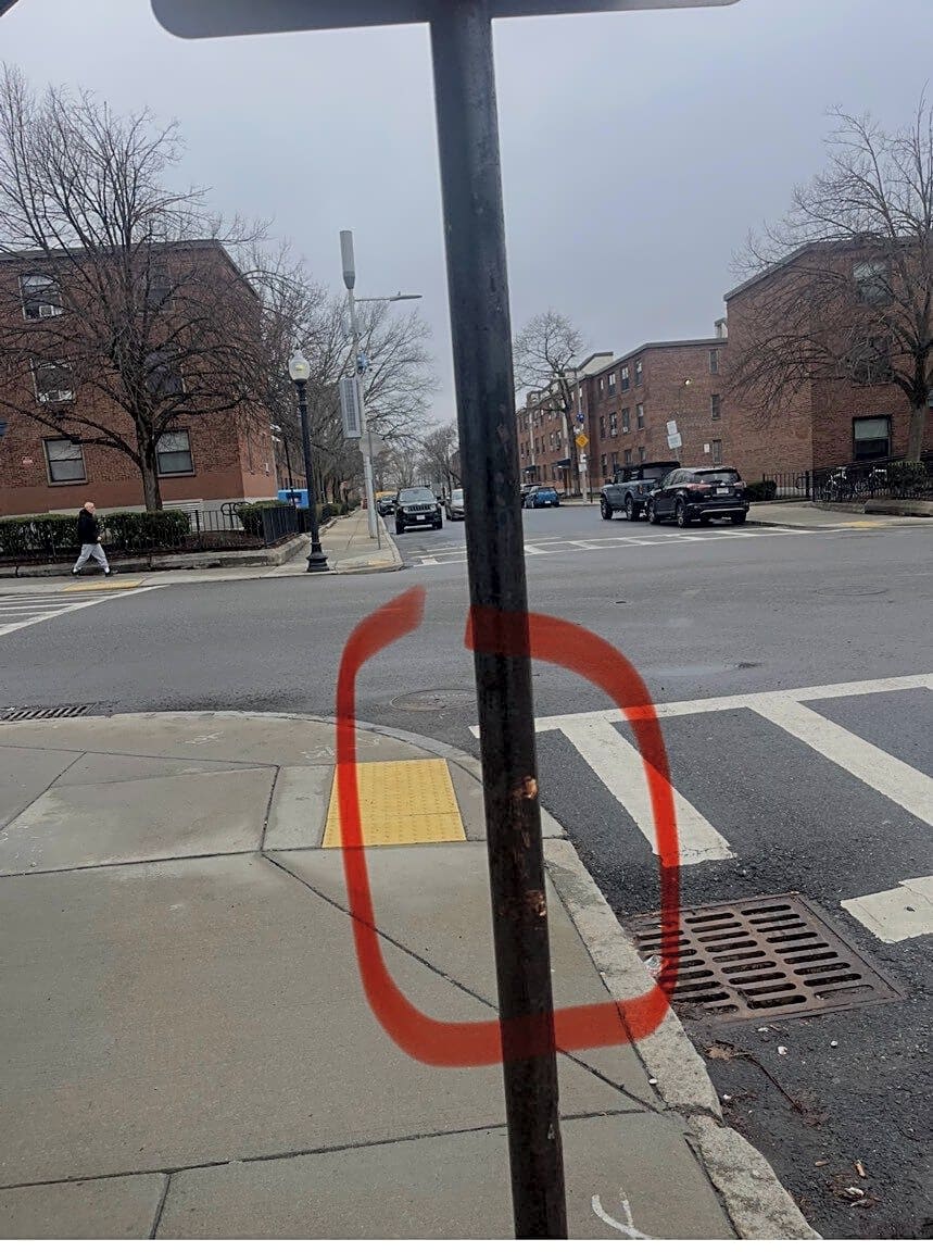 Image submitted with report