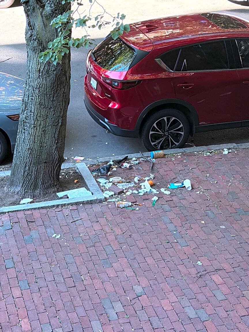 Image submitted with report
