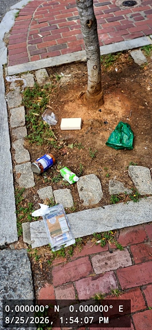 Image submitted with report