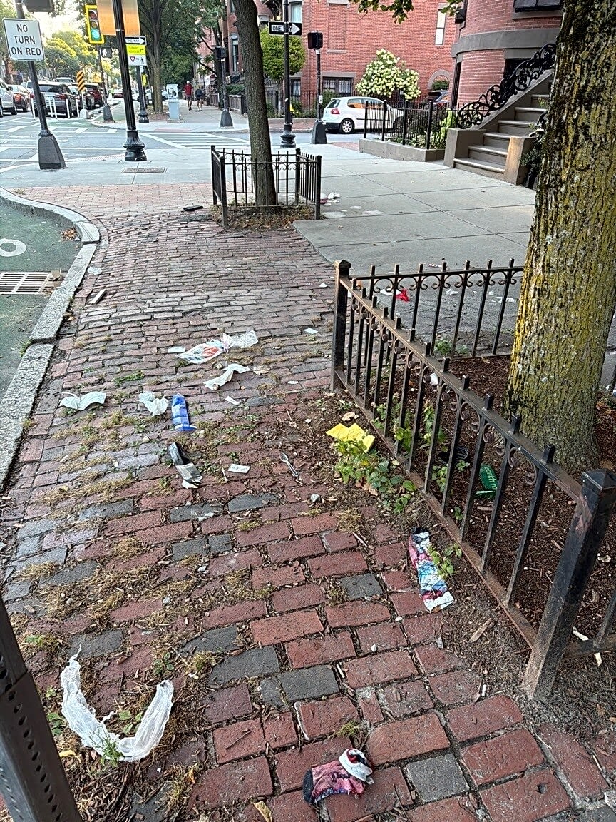 Image submitted with report