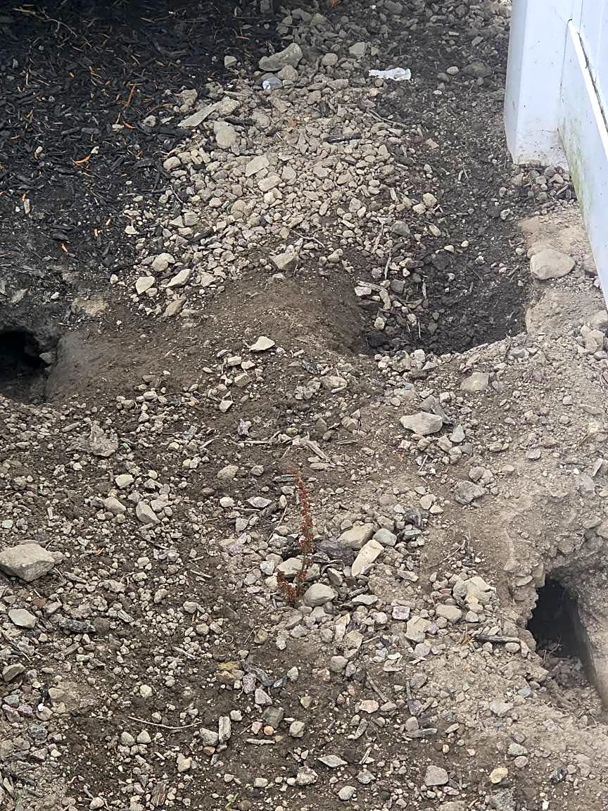 Image submitted with report