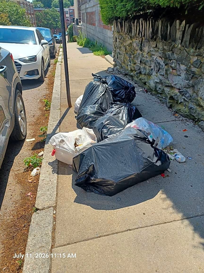 Image submitted with report