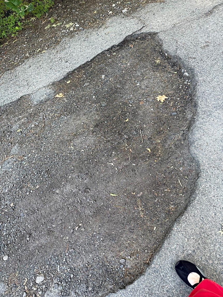 Image submitted with report