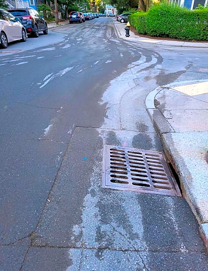 Image submitted with report