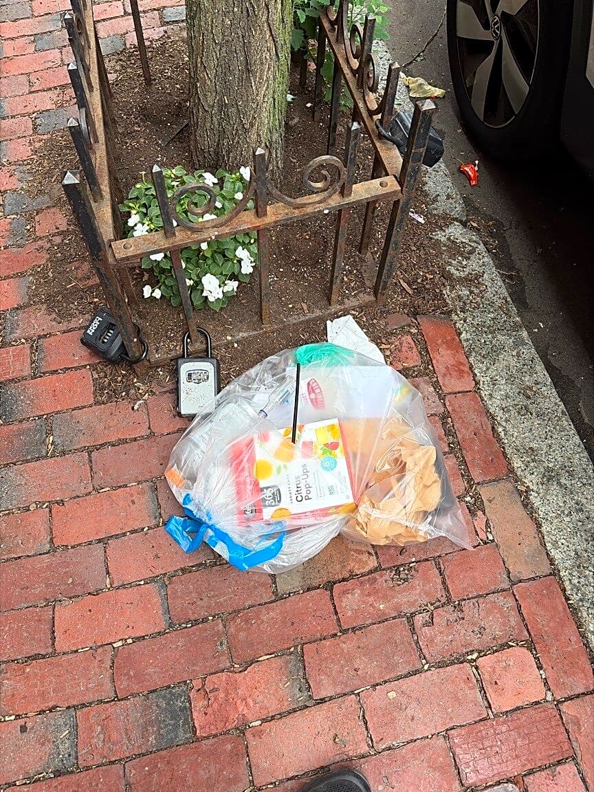 Image submitted with report
