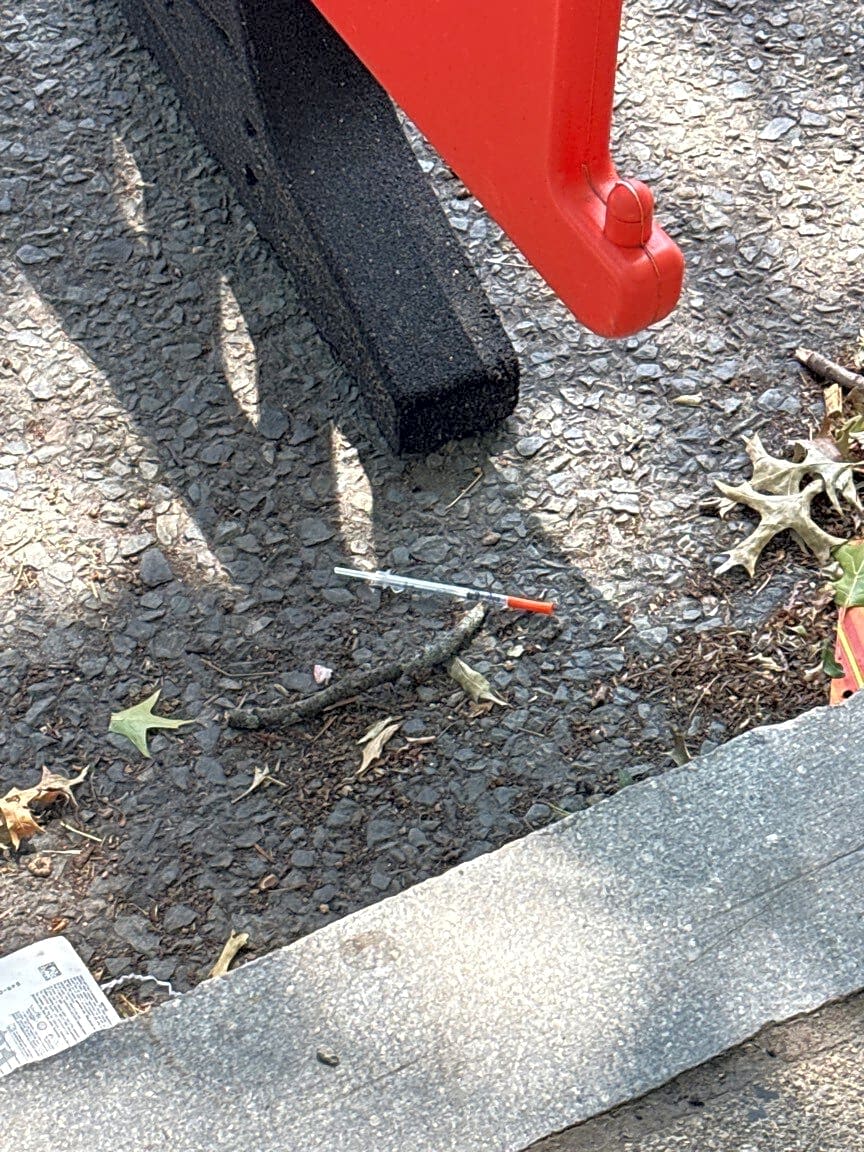 Image submitted with report