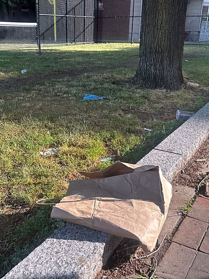 Image submitted with report