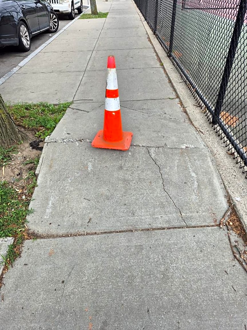 Image submitted with report