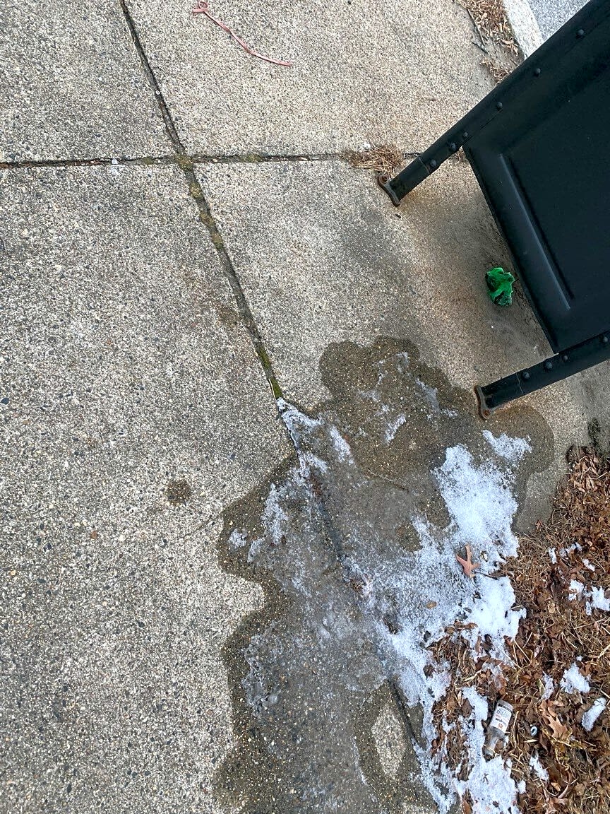 Image submitted with report