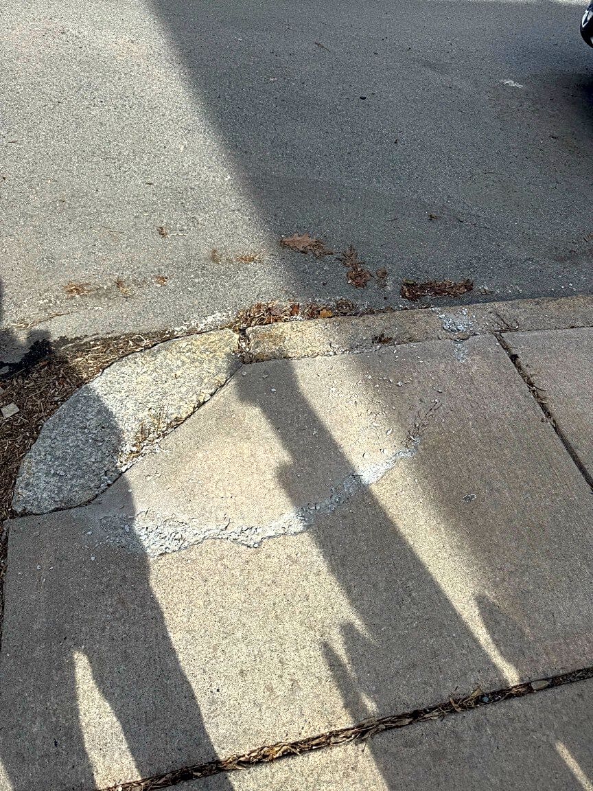 Image submitted with report