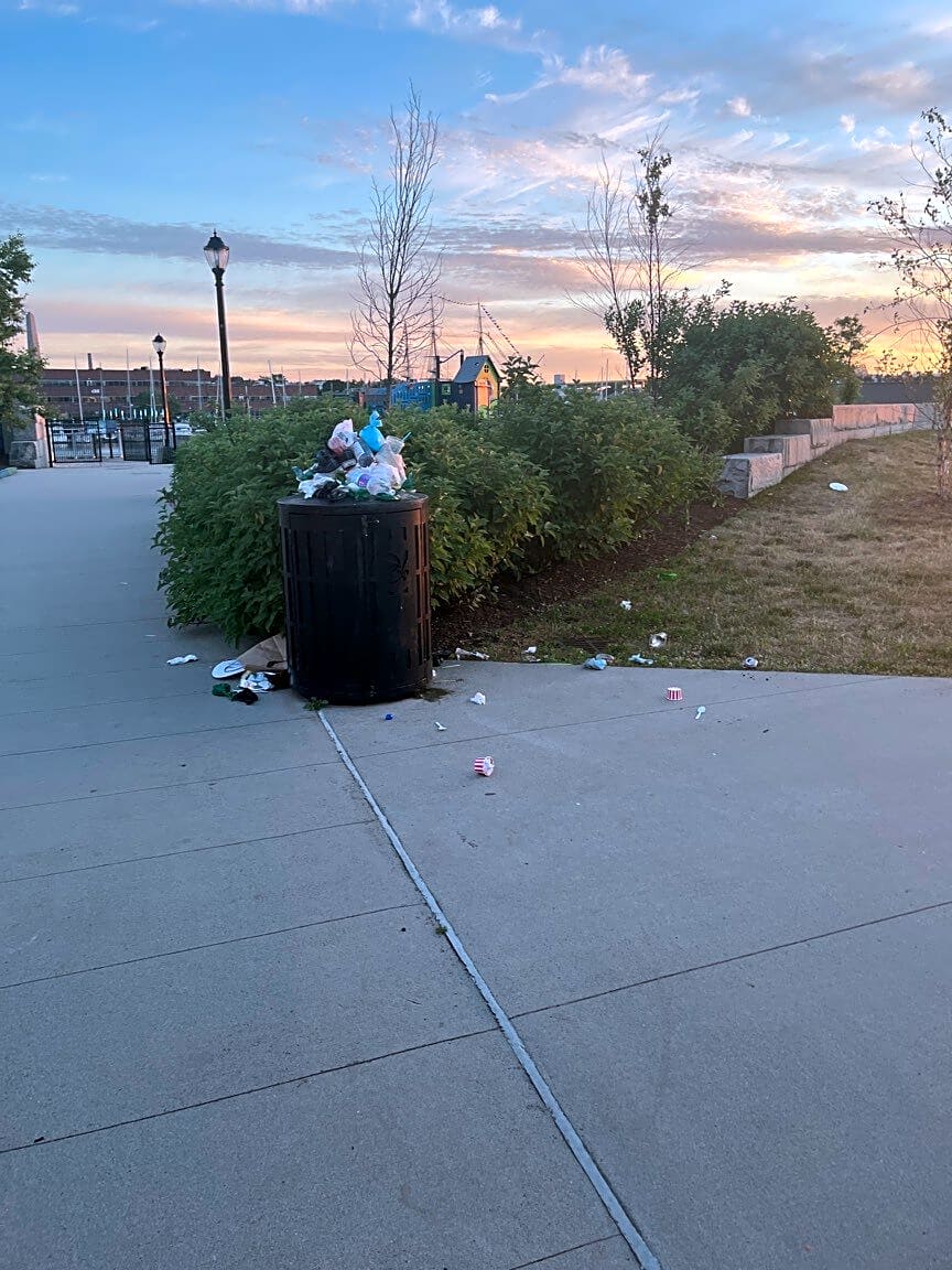 Image submitted with report
