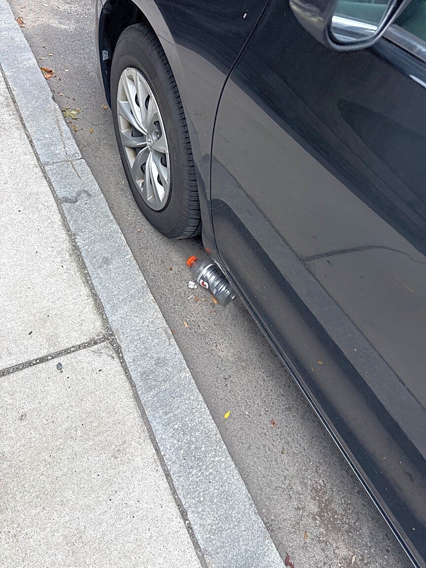 Image submitted with report