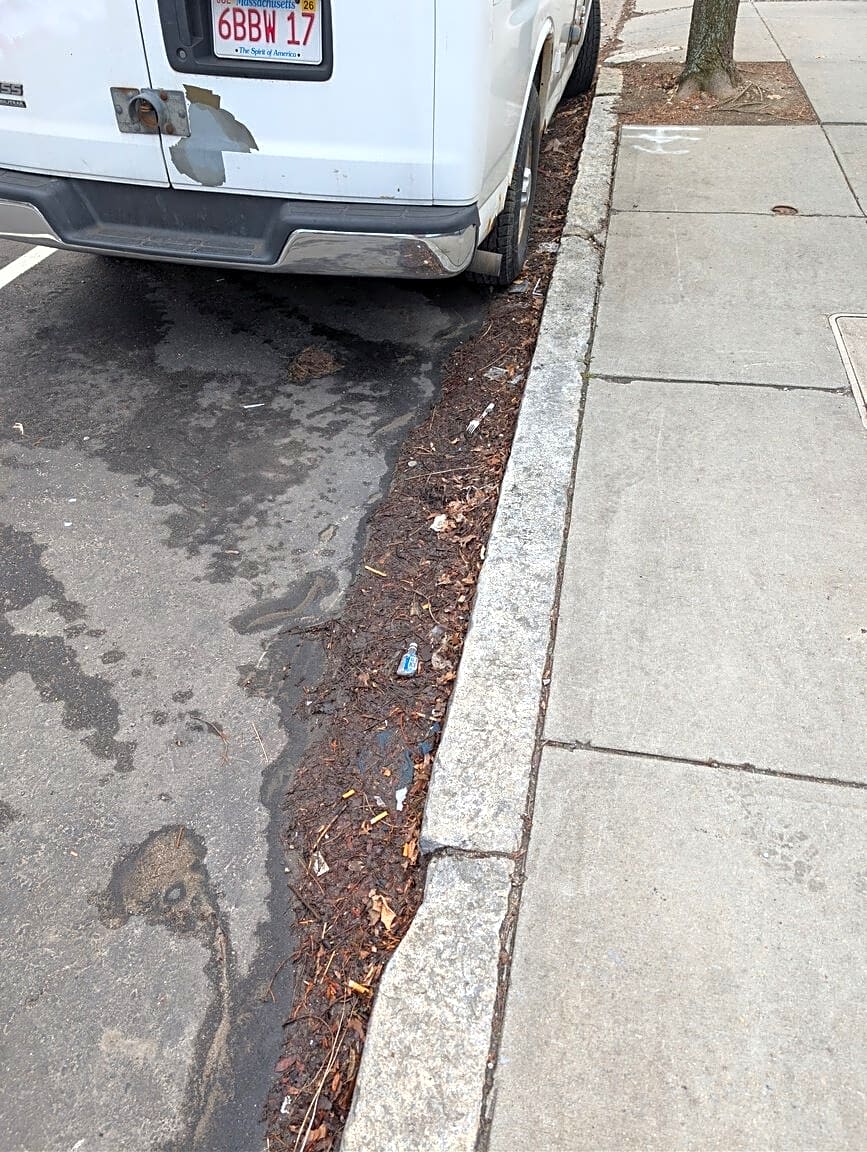 Image submitted with report