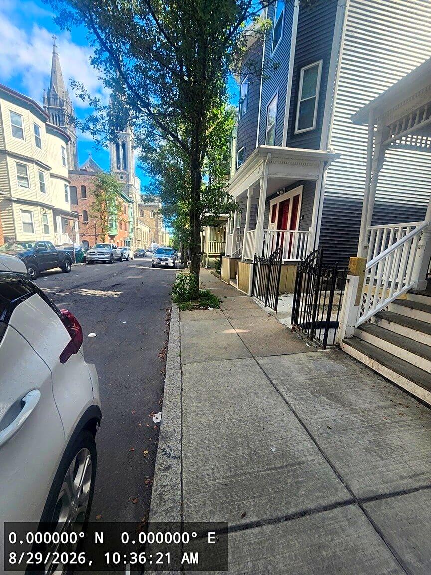 Image submitted with report