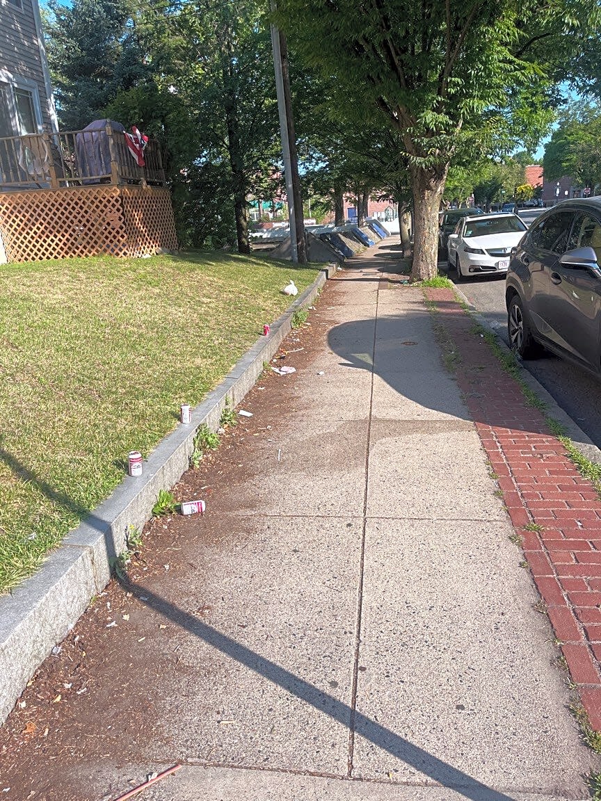 Image submitted with report