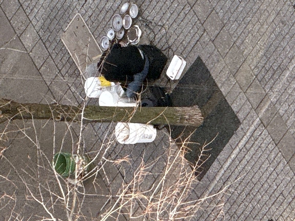 Image submitted with report