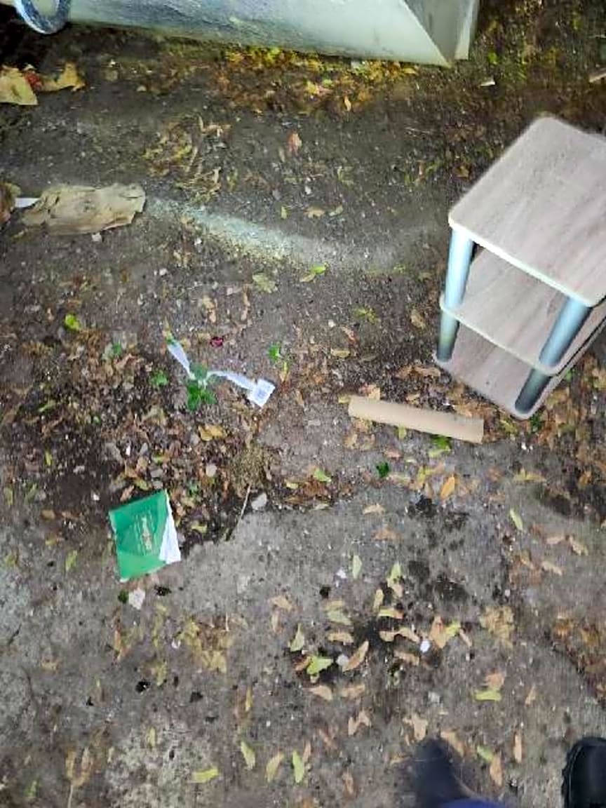 Image submitted with report